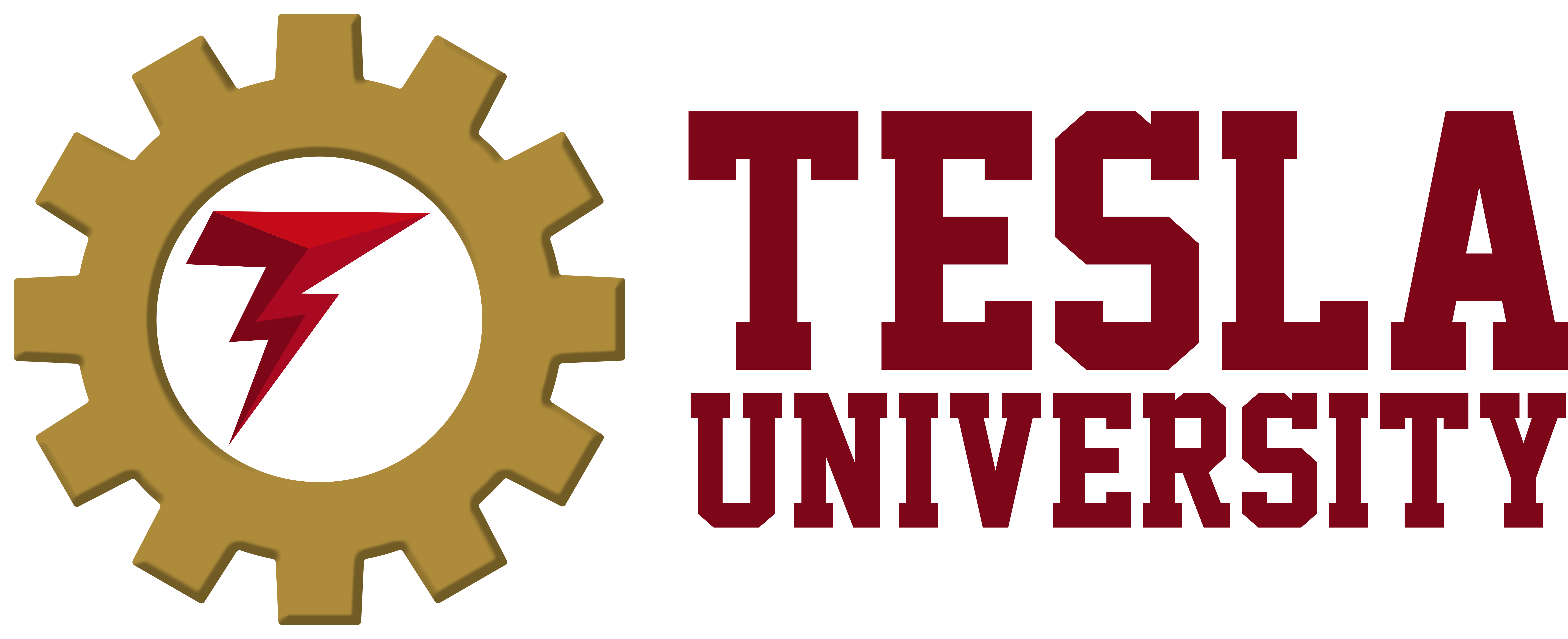 TESLA UNIVERSITY Logo